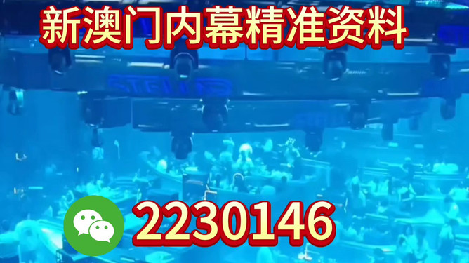 新奧2025今晚開獎資料詳解，新奧2025今晚開獎資料全面解析