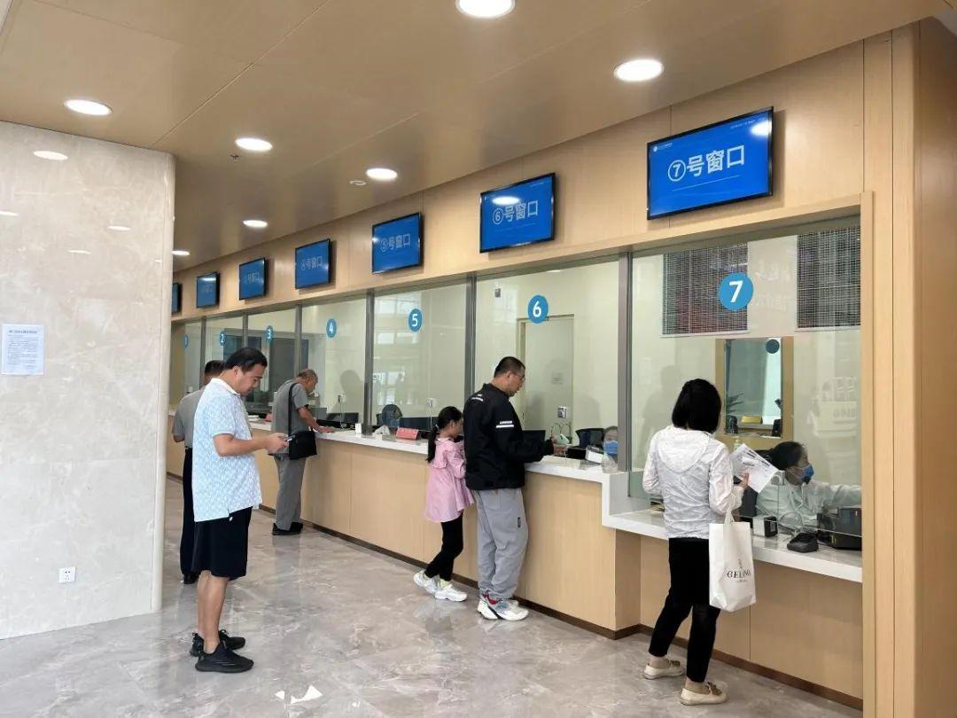 新門內(nèi)部資料官方入口，探索與解析，新門內(nèi)部資料官方入口，深度探索與解析