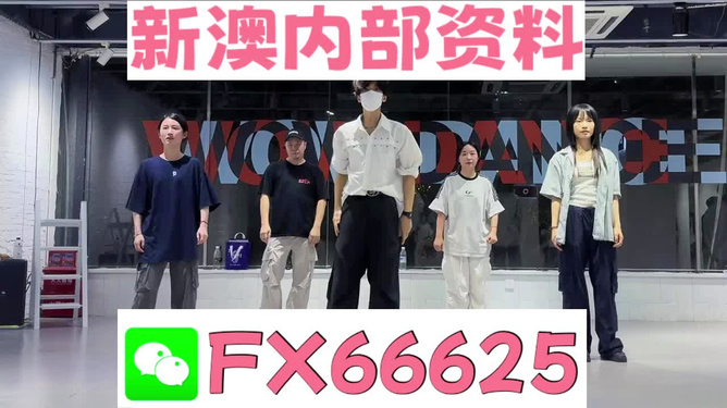 新澳天天開獎資料大全最新版詳解，新澳天天開獎資料大全最新版詳解及中獎秘籍