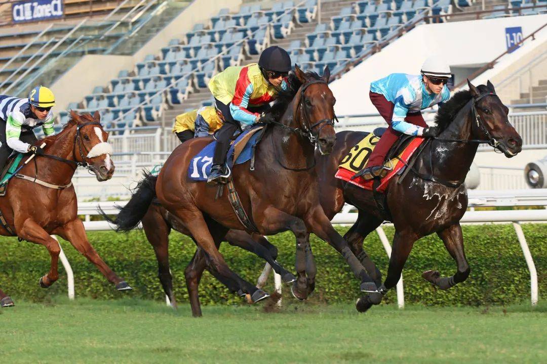香港馬，77777與88888的傳奇故事，香港賽馬傳奇，77777與88888的傳奇篇章