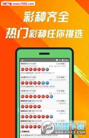 王中王493333中特馬特色的探索與解析，王中王493333中特馬特色的深度解析與探索