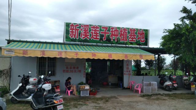 新溪門免費(fèi)資料大全