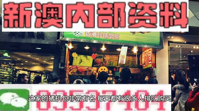 新奧天天精準資料大全，深度解析與實際應(yīng)用，新奧天天精準資料大全，深度解析及實際應(yīng)用指南