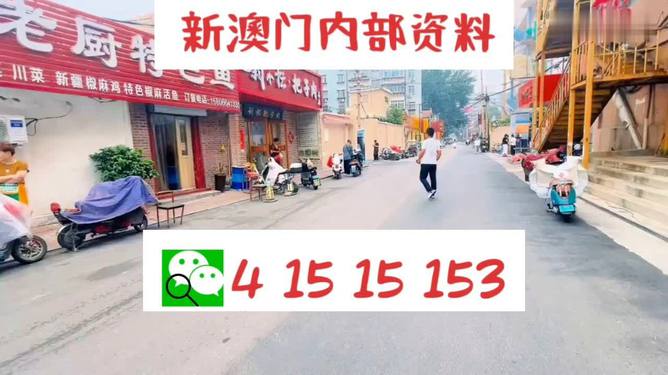 探索未來，2025新奧天天開好彩大全，探索未來奧秘，2025新奧天天彩精彩概覽