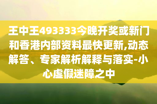 王中王493333今晚開獎(jiǎng)——彩票背后的故事與挑戰(zhàn)，彩票背后的故事與挑戰(zhàn)，王中王493333今晚開獎(jiǎng)揭秘