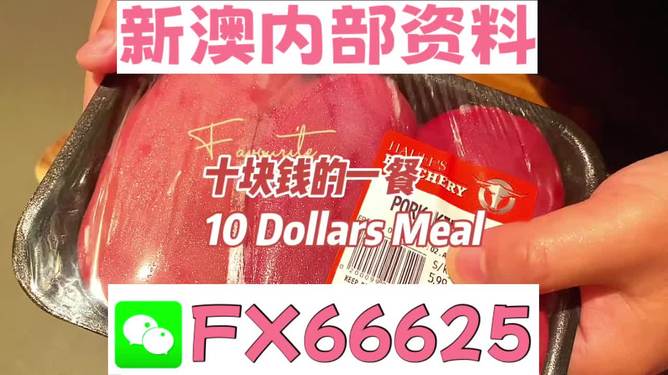探索未來(lái)，揭秘2025新奧精準(zhǔn)正版資料的價(jià)值與影響，揭秘未來(lái)之門，2025新奧精準(zhǔn)正版資料的價(jià)值與影響探索