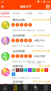 揭秘493333王中王中的開(kāi)獎(jiǎng)特色，揭秘493333王中王彩票開(kāi)獎(jiǎng)特色