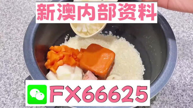 新奧精準免費資料提供，探索與啟示，新奧精準免費資料探索，啟示與分享