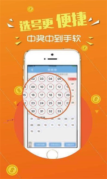 王中王論壇，心水交匯的智慧之地，王中王論壇，智慧交匯的心靈之地