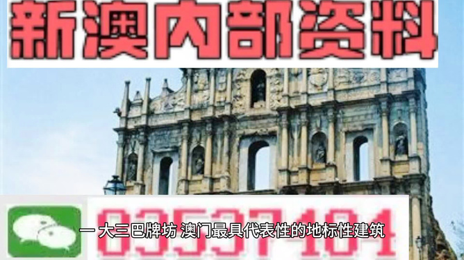 新門內(nèi)部資料大全免費(fèi)，探索與啟示，新門內(nèi)部資料免費(fèi)探索與啟示指南