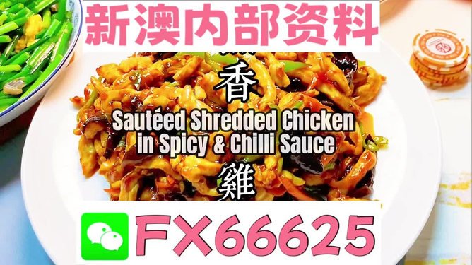 2025新奧精準(zhǔn)資料免費大全，探索未來，助力成長，2025新奧精準(zhǔn)資料免費大全，探索未來助力成長之路