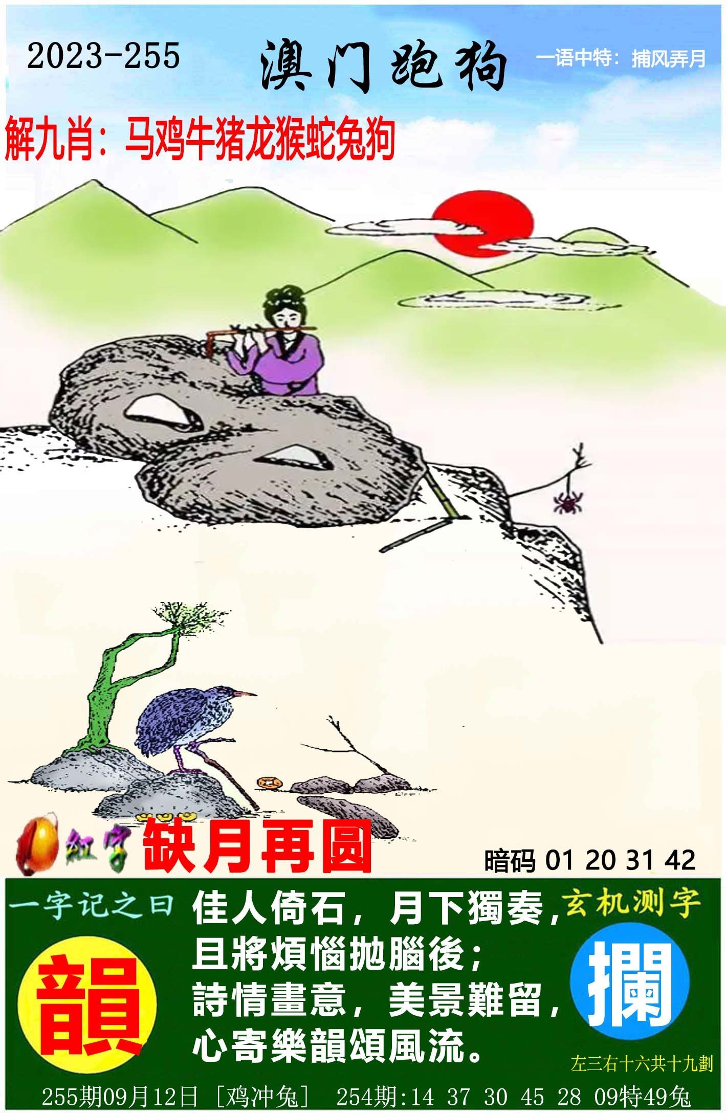 澳門(mén)彩票，探索2025年天天開(kāi)好彩的奧秘——第46期深度解析與預(yù)測(cè)，澳門(mén)彩票深度解析與預(yù)測(cè)，探索天天開(kāi)好彩的奧秘（第46期）