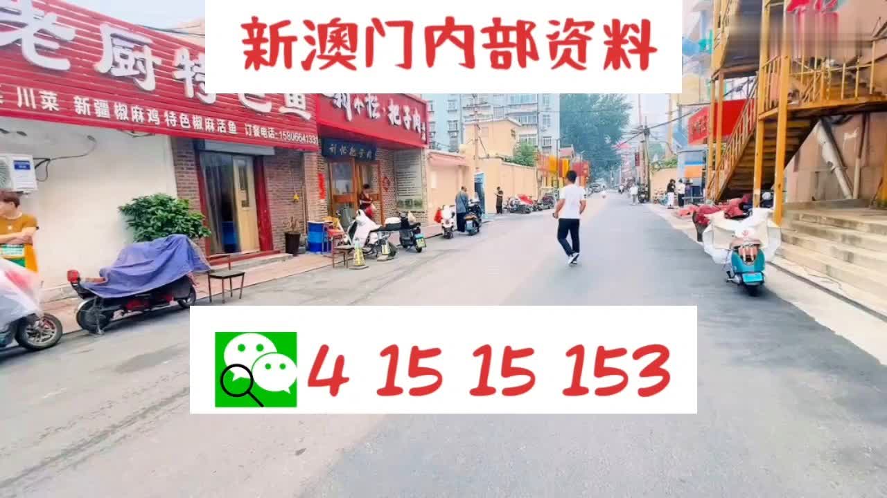 新門內部資料大全免費查看，探索與啟示，新門內部資料大全，免費探索與啟示之旅