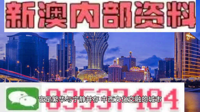 新門內(nèi)部資料大全免費(fèi)，探索與啟示，新門內(nèi)部資料免費(fèi)探索與啟示指南