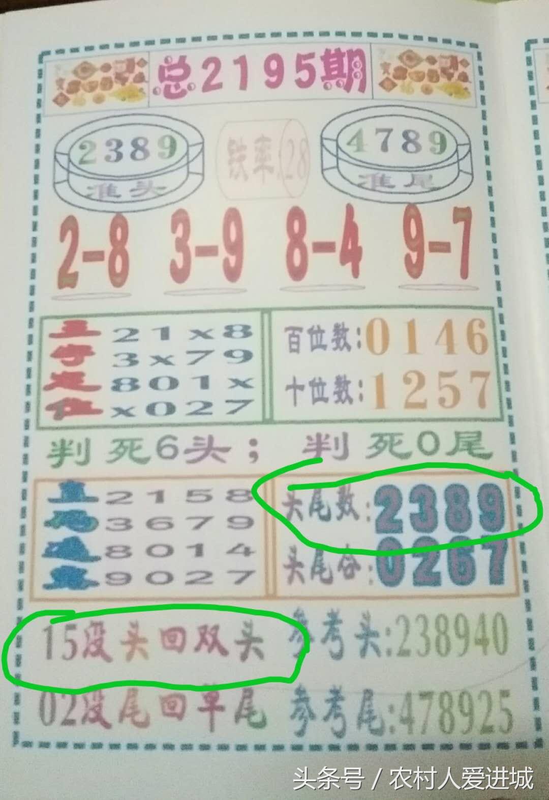 新澳門(mén)中期期期準(zhǔn)的發(fā)展與展望，澳門(mén)未來(lái)中期發(fā)展展望與趨勢(shì)
