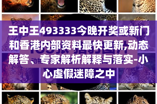 王中王493333中特大全，探索神秘?cái)?shù)字的魅力與內(nèi)涵，王中王493333中的神秘?cái)?shù)字魅力與內(nèi)涵探索