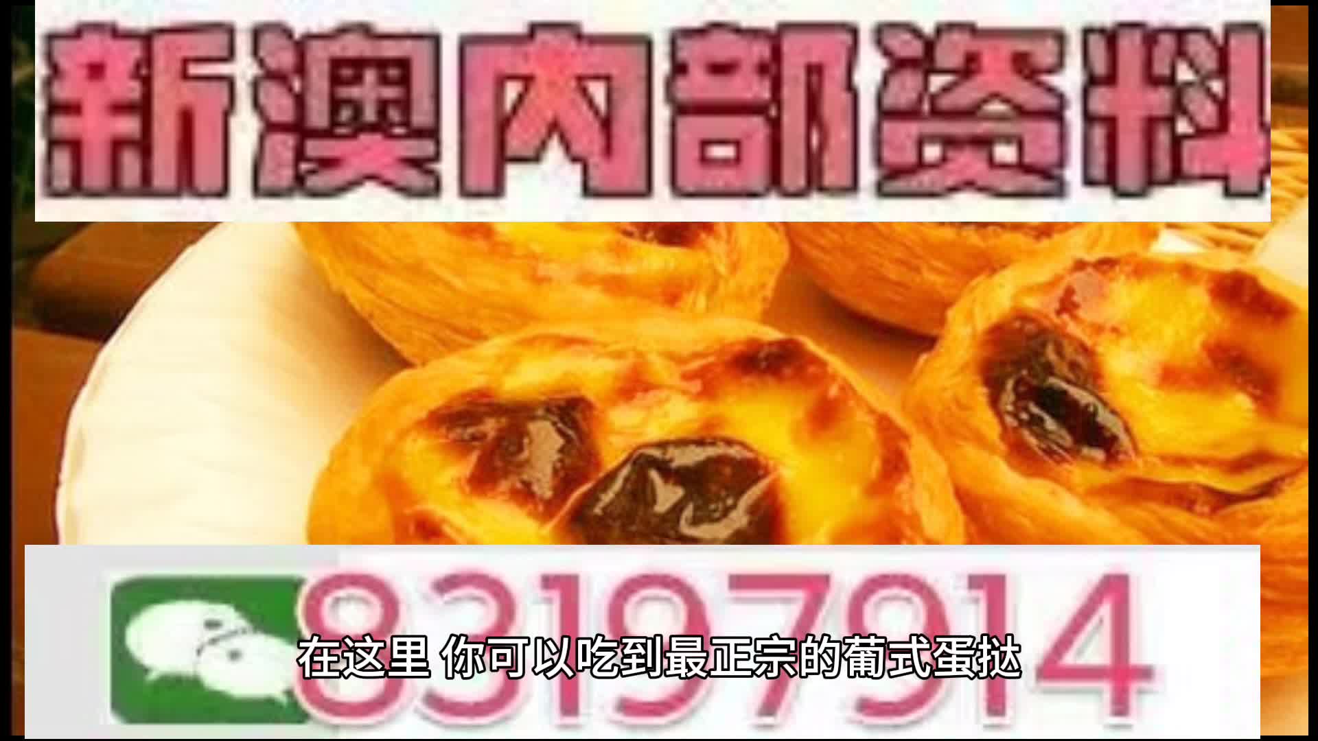 探索未來的澳門，新澳門中特網(wǎng)的發(fā)展與展望，澳門未來探索，新澳門中特網(wǎng)的發(fā)展展望