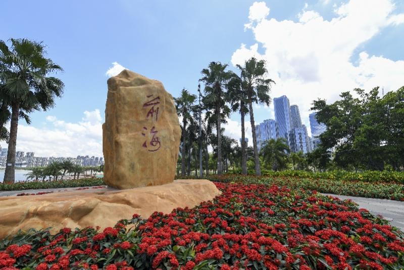 新澳門內(nèi)部精準(zhǔn)公開，探索與解讀，澳門內(nèi)部精準(zhǔn)解讀，探索與揭秘