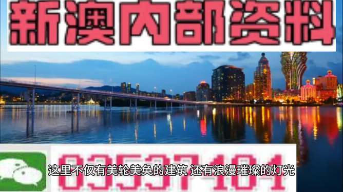 新澳新澳門正版資料的深度解析，澳門正版資料深度解析與解讀