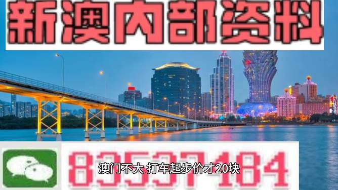 新澳期期期，探索未來的機(jī)遇與挑戰(zhàn)，新澳期期期，未來機(jī)遇與挑戰(zhàn)的探索